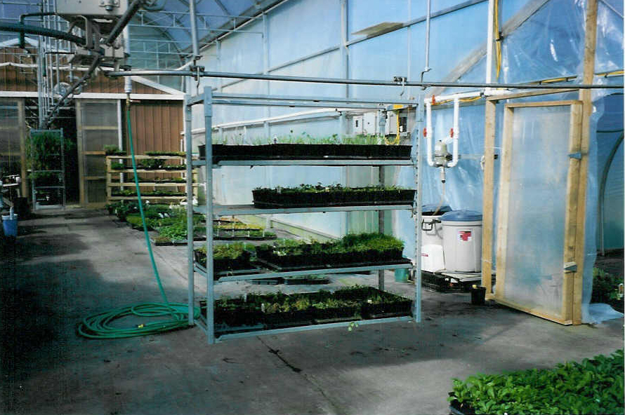 Railex System 200 Trolley Rail adapted for Greenhouse Industry
